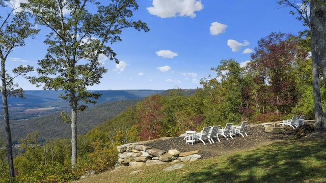 view of yard featuring a mountain view