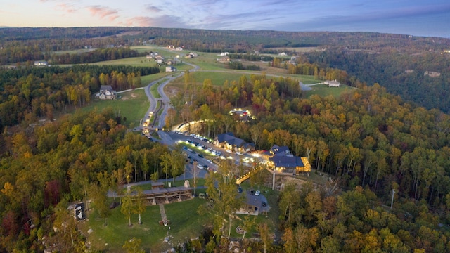 view of aerial view at dusk