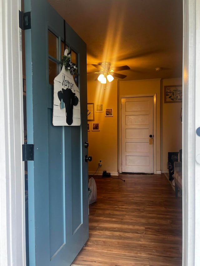 entryway with ceiling fan and hardwood / wood-style floors