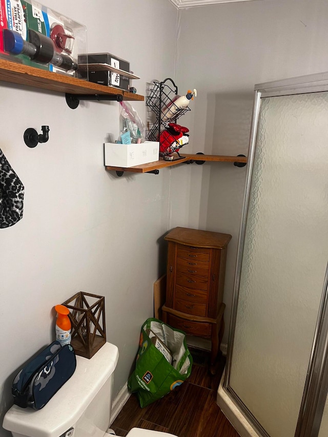 bathroom with wood-type flooring and a shower with shower door