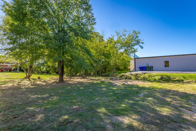 view of yard featuring a patio area