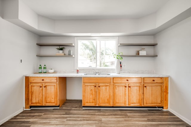 kitchen with sink and dark hardwood / wood-style flooring