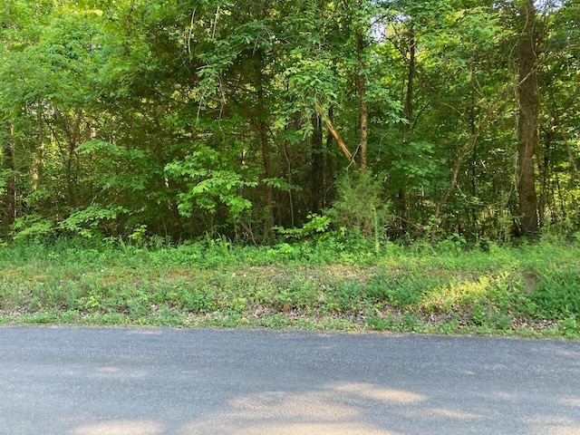 0 Horner Hollow Rd, Birchwood TN, 37308 land for sale