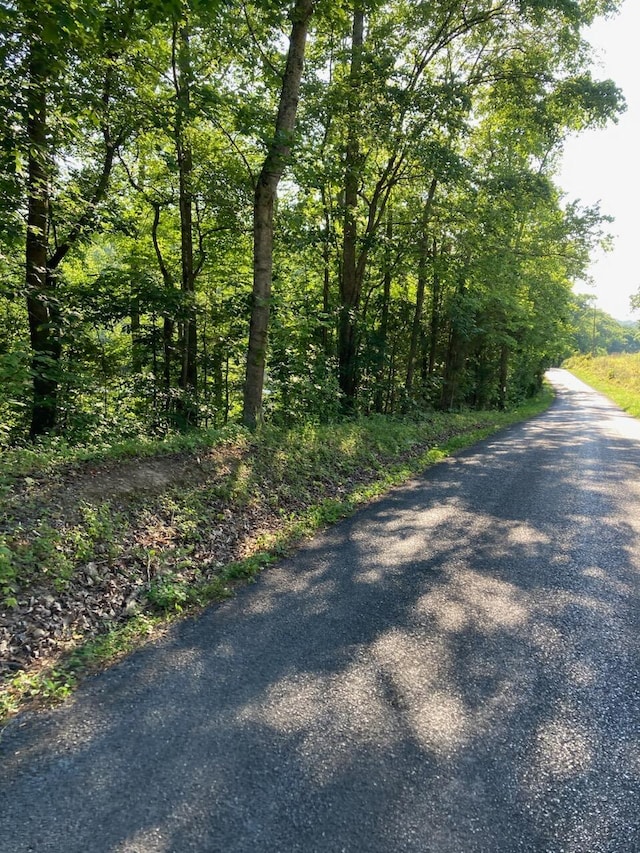 Listing photo 2 for 0 Horner Hollow Rd, Birchwood TN 37308