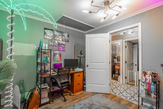 office with crown molding and wood-type flooring