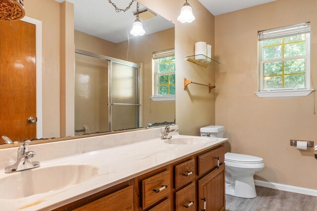 bathroom with an enclosed shower, a healthy amount of sunlight, vanity, and toilet