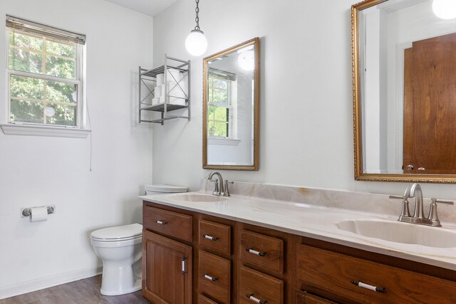 bathroom featuring hardwood / wood-style floors, vanity, and toilet