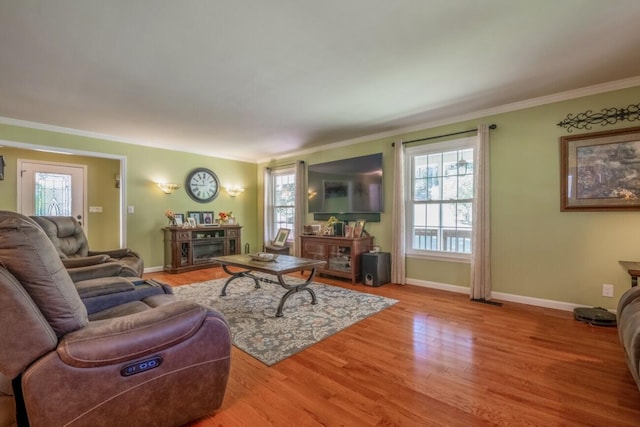 living room featuring a fireplace, plenty of natural light, crown molding, and wood-type flooring