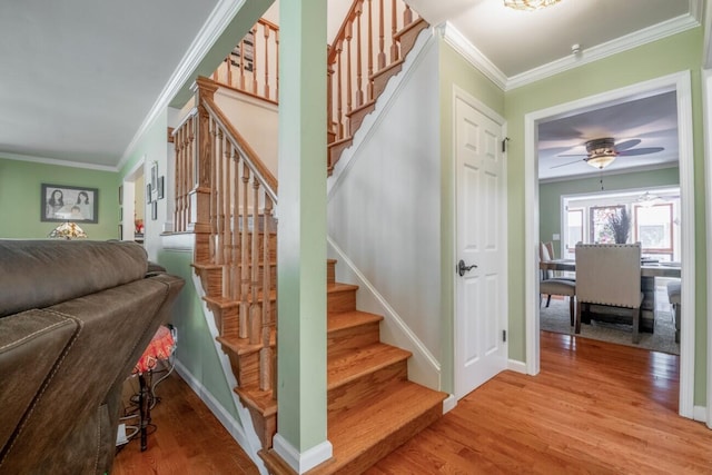 stairs with crown molding, hardwood / wood-style floors, and ceiling fan