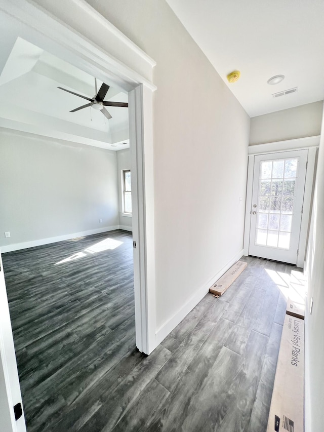 entrance foyer with a tray ceiling, plenty of natural light, and dark wood-type flooring