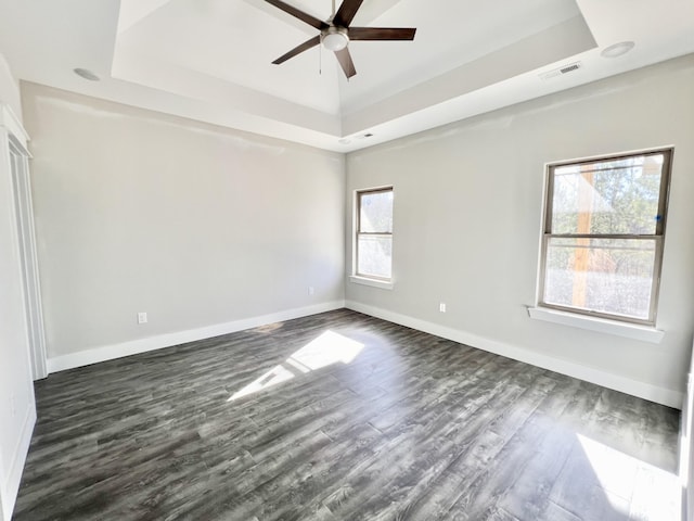 unfurnished room featuring a tray ceiling, a wealth of natural light, and ceiling fan