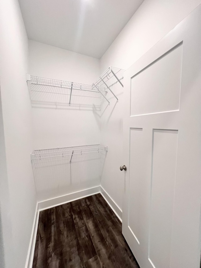 60 Ables Way, Ringgold, GA 30736 - spacious closet featuring dark wood-style flooring