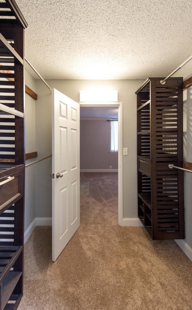 walk in closet with carpet