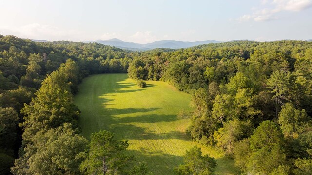 748 Damascus Church Rd, Dahlonega, GA 30533 - photo 5