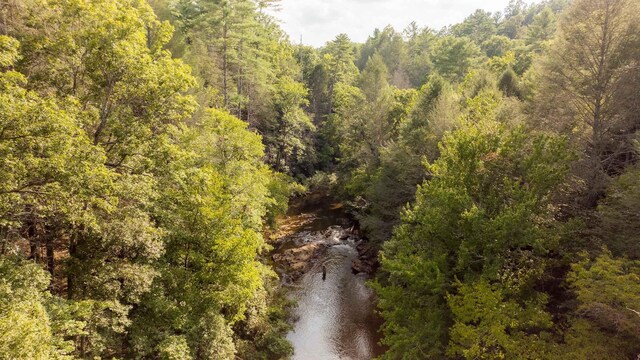 748 Damascus Church Rd, Dahlonega, GA 30533 - photo 6