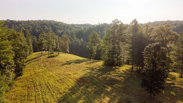 748 Damascus Church Rd, Dahlonega, GA 30533 - photo 7