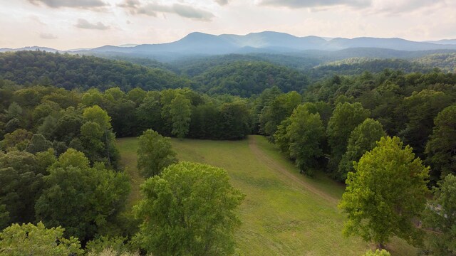 748 Damascus Church Rd, Dahlonega, GA 30533 - photo 11