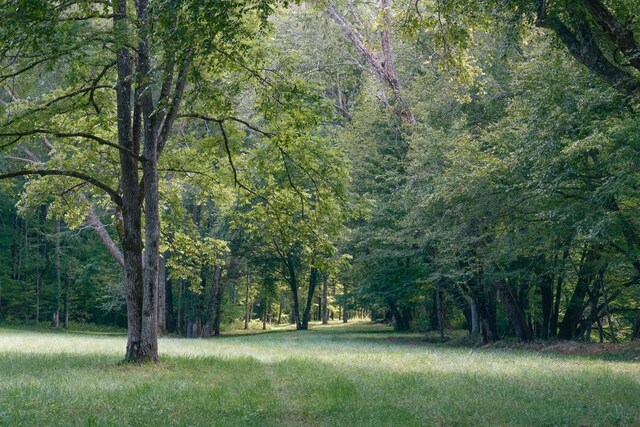 748 Damascus Church Rd, Dahlonega, GA 30533 - photo 12
