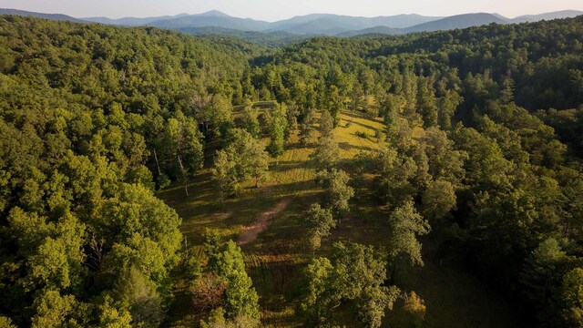 748 Damascus Church Rd, Dahlonega, GA 30533 - photo 19