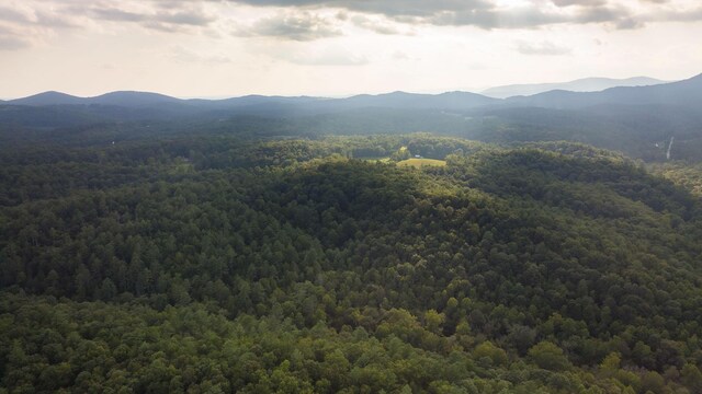 748 Damascus Church Rd, Dahlonega, GA 30533 - photo 30