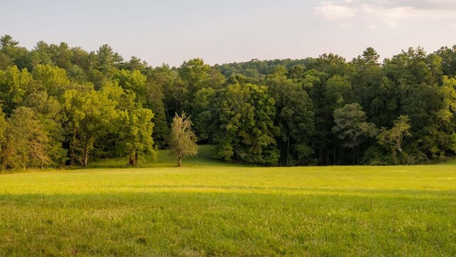 748 Damascus Church Rd, Dahlonega, GA 30533 - photo 37