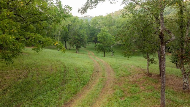 748 Damascus Church Rd, Dahlonega, GA 30533 - photo 40