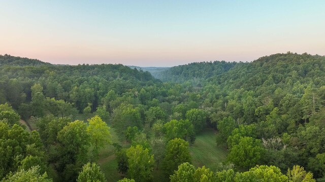 748 Damascus Church Rd, Dahlonega, GA 30533 - photo 44