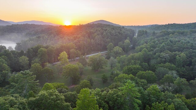 748 Damascus Church Rd, Dahlonega, GA 30533 - photo 45