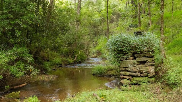 748 Damascus Church Rd, Dahlonega, GA 30533 - photo 48