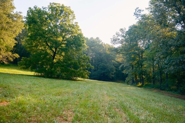 748 Damascus Church Rd, Dahlonega, GA 30533 - photo 50