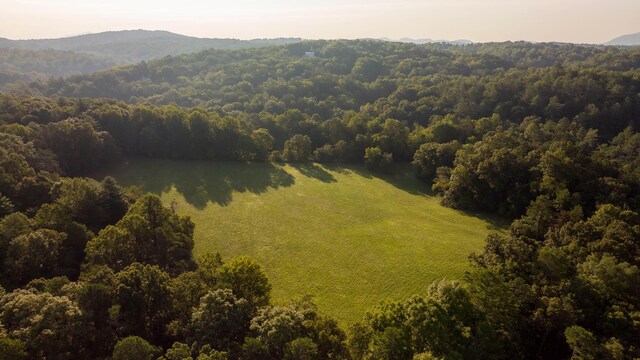 748 Damascus Church Rd, Dahlonega, GA 30533 - photo 51
