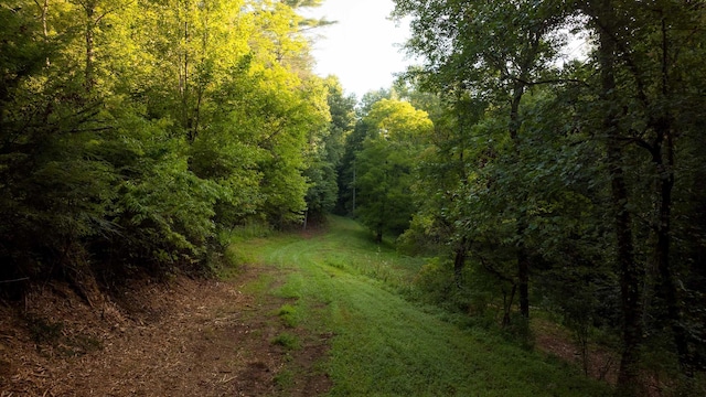 748 Damascus Church Rd, Dahlonega, GA 30533 - photo 52