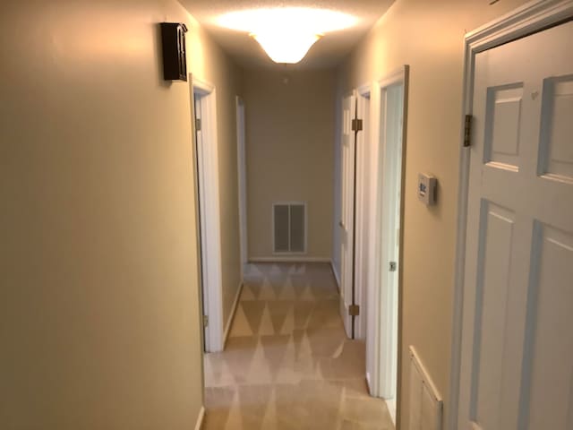 hallway featuring light carpet