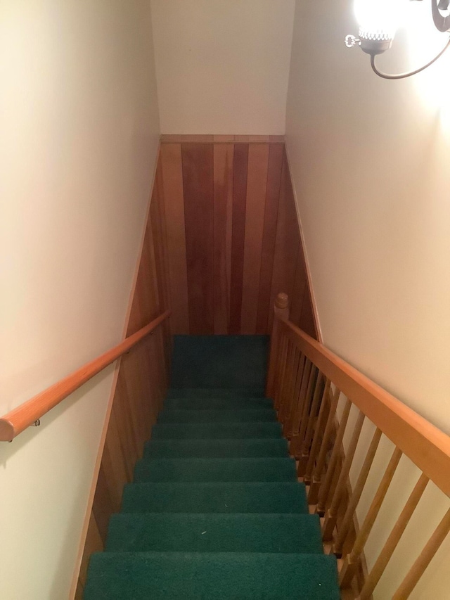 stairs with carpet floors