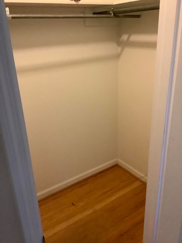 spacious closet featuring wood-type flooring