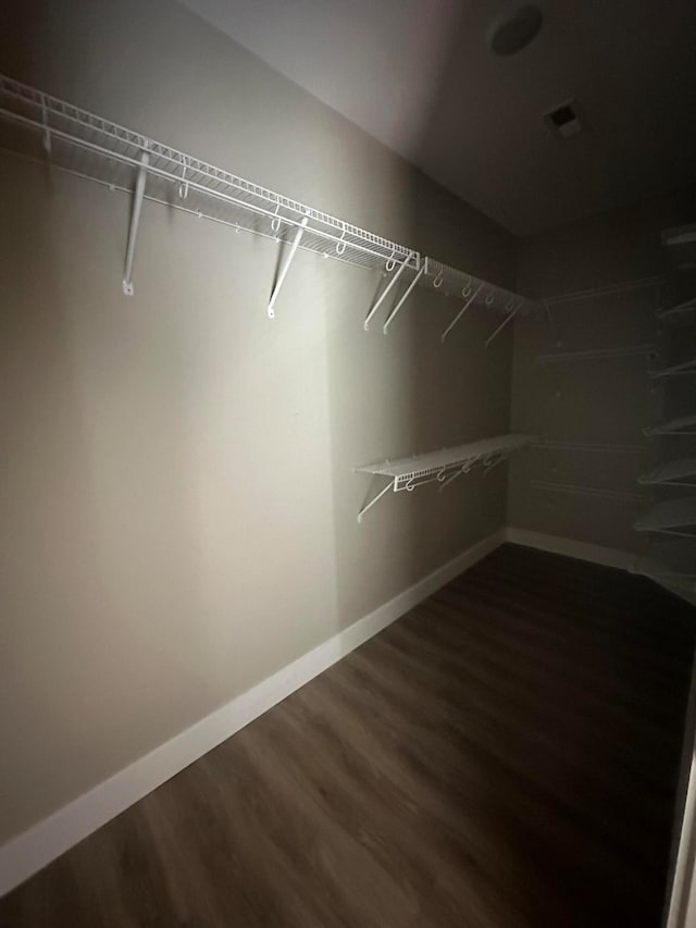 spacious closet featuring hardwood / wood-style flooring