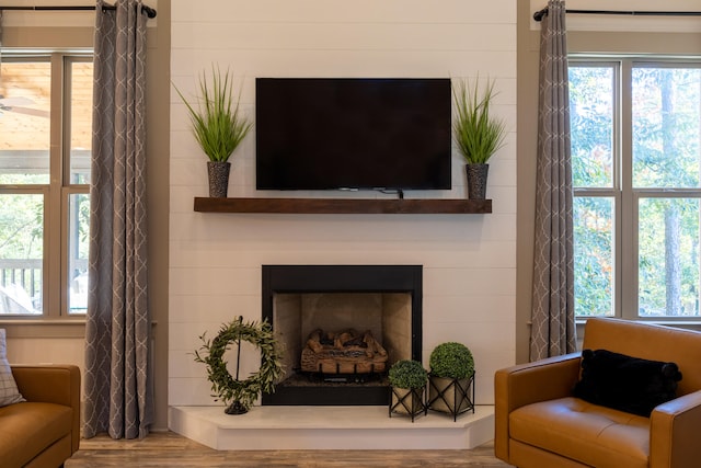 living room featuring wood-type flooring