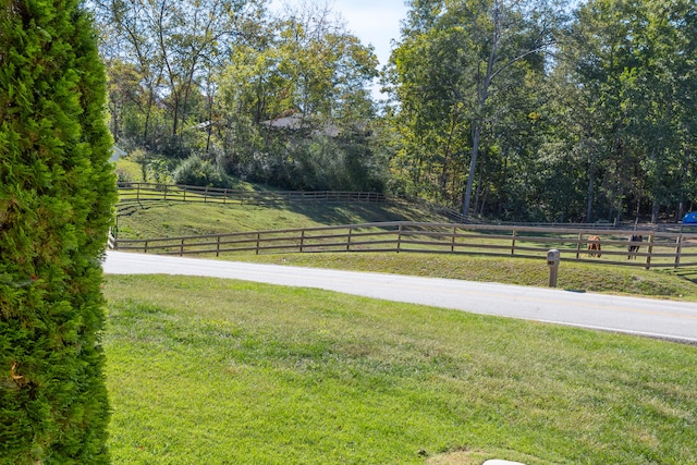 view of yard featuring a rural view