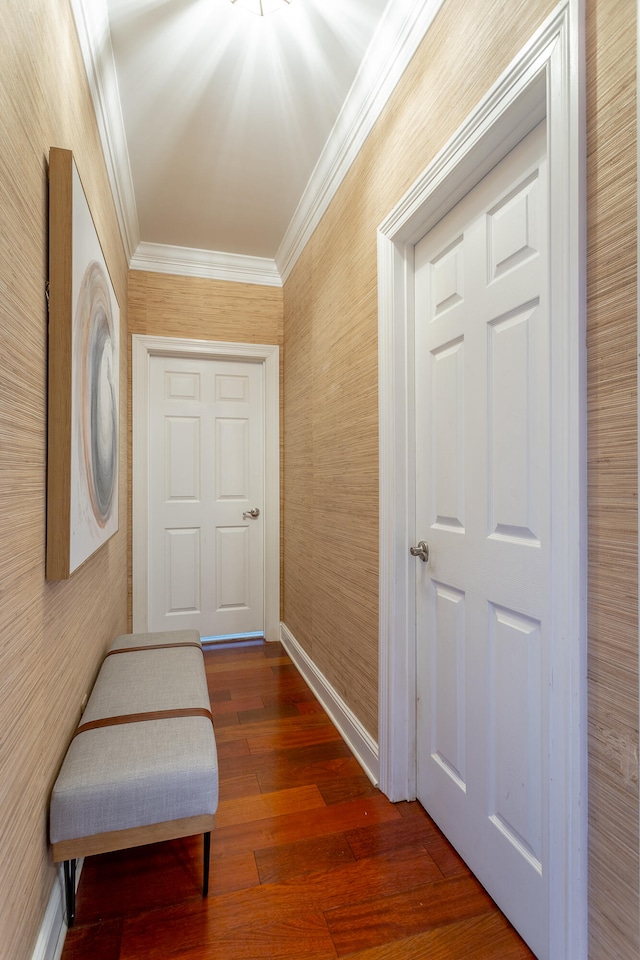 hallway featuring crown molding and dark hardwood / wood-style floors