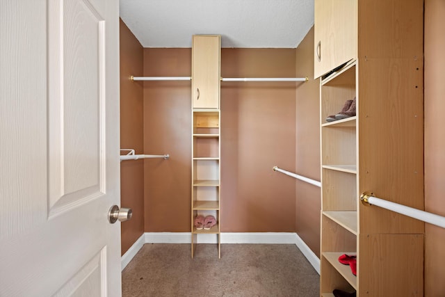 spacious closet with carpet floors