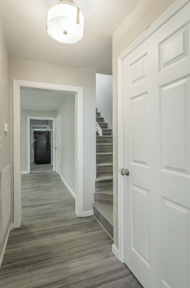 corridor with dark hardwood / wood-style floors