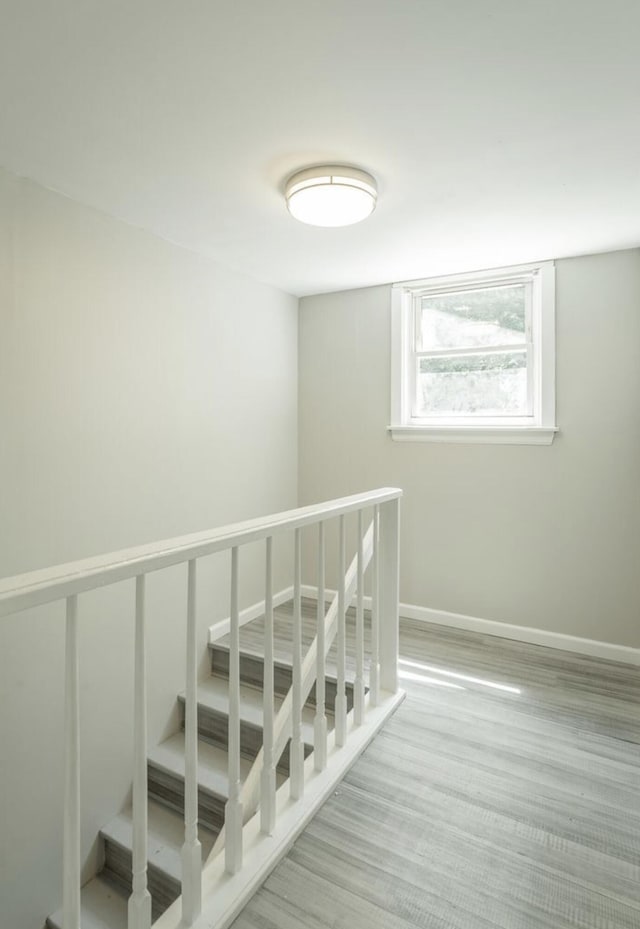 stairway featuring wood-type flooring