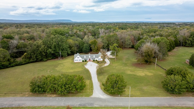 bird's eye view