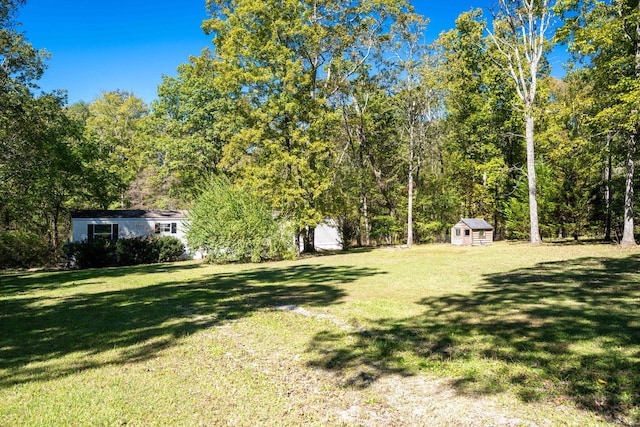 view of yard with a storage shed