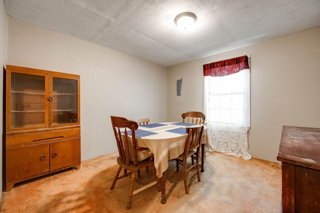 carpeted dining area featuring a textured ceiling