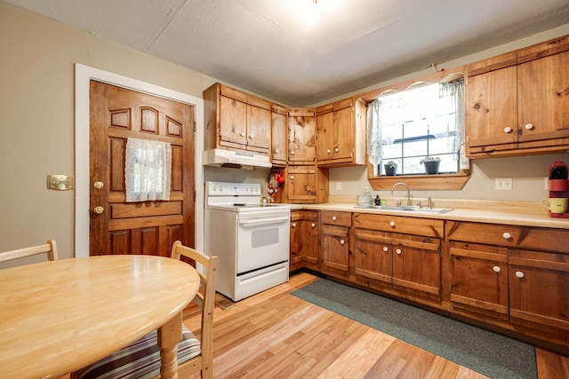 kitchen with sink, white range with electric stovetop, and light hardwood / wood-style floors