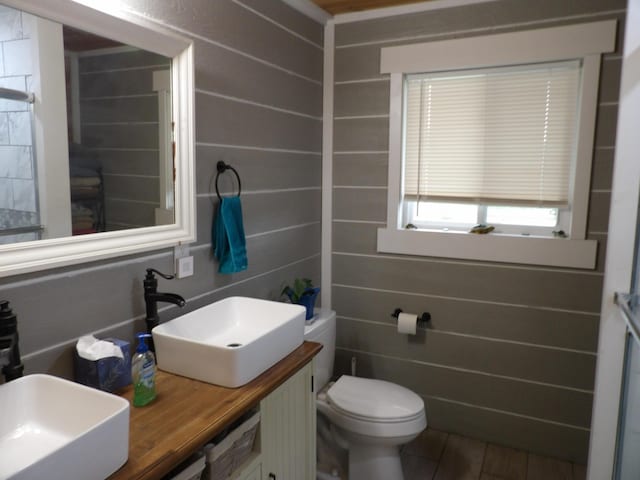 bathroom featuring toilet, wood walls, and vanity