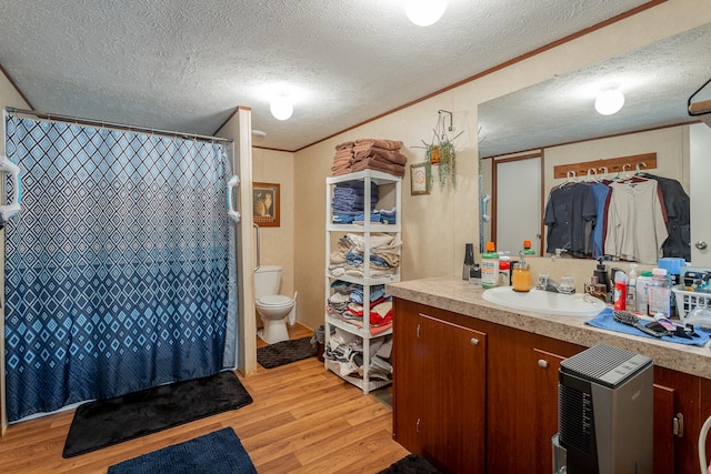 bathroom with toilet, vanity, wood-type flooring, and a textured ceiling