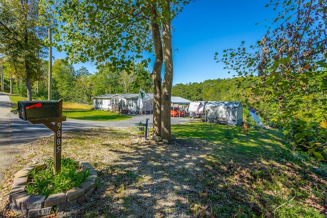 view of yard featuring a storage unit