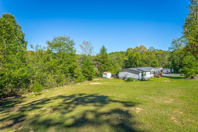 view of yard featuring a shed